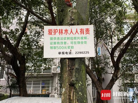 砍伐树木的工人高清图片下载-正版图片600284690-摄图网
