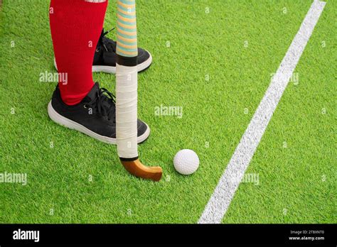Grass Hockey 的图像结果
