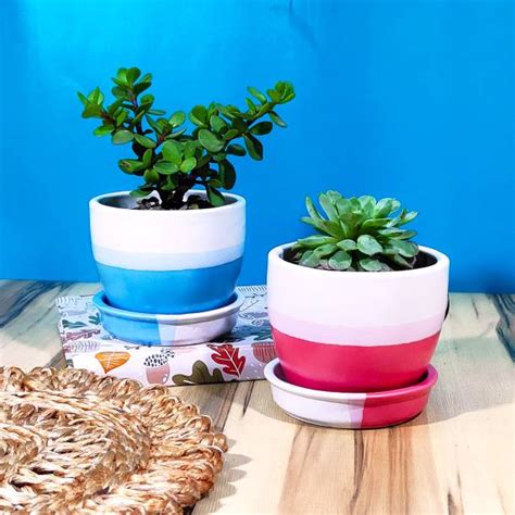 Ceramic Pots Online in India | Flipkart | 10-May-24