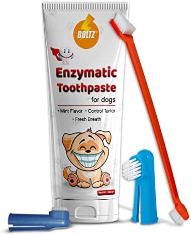 Boltz Enzymatic Toothpaste for Dogs 100gm with 3 Toothbrush with Mint ...