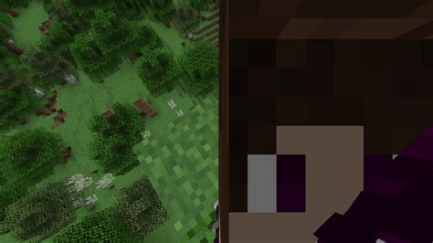 Image result for Obfuscate Mod