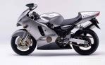 Image result for Java Tiger Stripes