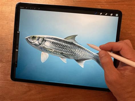 How To Draw A Fish Step by Step Procreate Tutorial | dobbernationLOVES