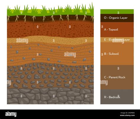 Humus Soil Structure at Colin Jetton blog