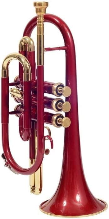 Image result for Cornet Musical Instrument