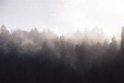 South Carlsbad Campground in South Carlsbad State Beach, California ...