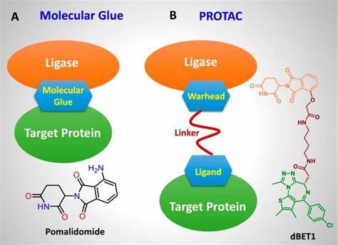 molecular glue vs PROTAC