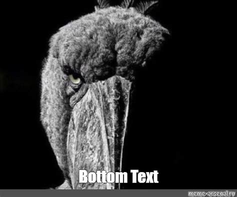 Bottom Text Meme 的图像结果