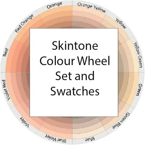 Skin Tone Swatches and Colour Wheel - Etsy