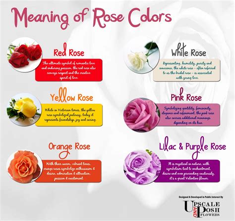 Meaning of Rose Colors Infographic | Rose color meanings, Rose color ...
