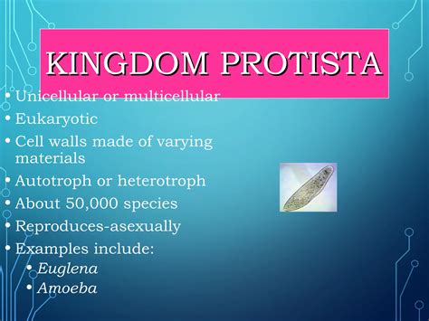 Classification of organism grade 8 science.ppt