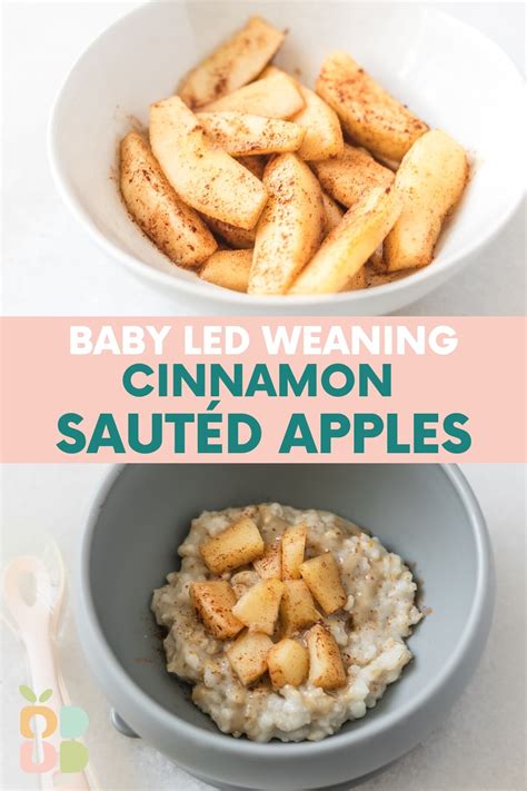 Roasted Apple Baby Led Weaning at Cynthia Cawley blog