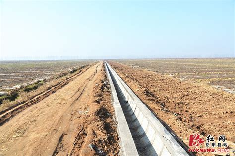 岳阳县顺利推进高标准农田建设项目|施工|岳阳县_新浪新闻