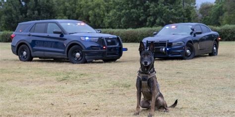 Retired sheriff’s sergeant gives insight into K-9, handler relationships