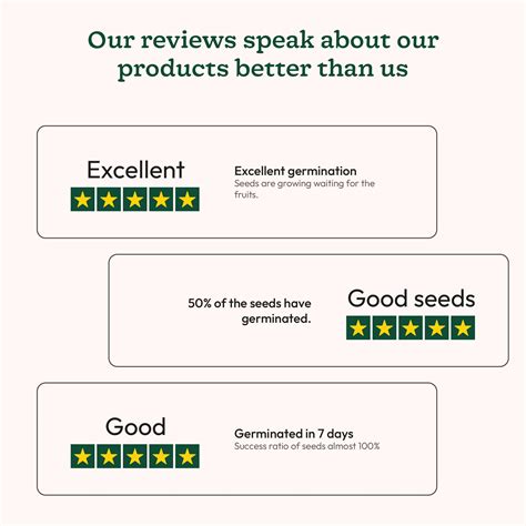 Yellow Capsicum Seeds – Ugaoo