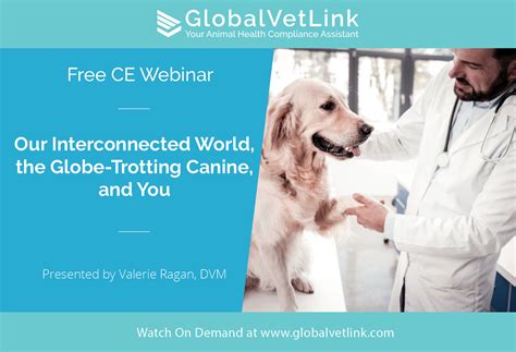 Watch On Demand: Our Interconnected World, the Globe-Trotting Canine ...