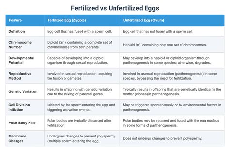 Fertilized vs Unfertilized Eggs