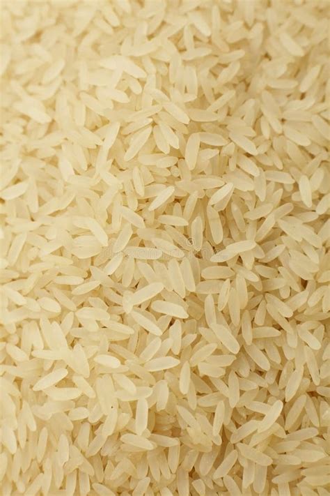 Image result for Rice Processing Procedures