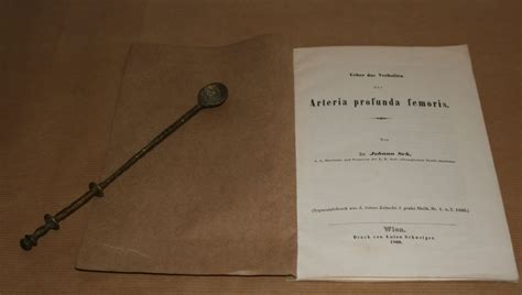 Arteria profunda femoris – Antiquarium Store