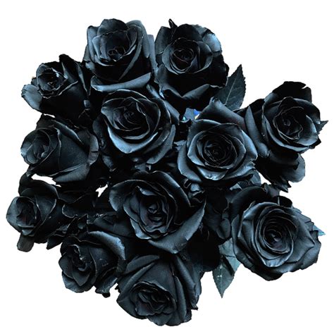 Black Roses Black Rose Luv Box | Flower Box | Flower Delivery Kuala