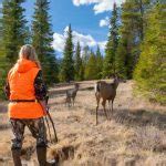 Dove Season in North Carolina 2024: NC Dove Hunting Dates, Bags ...