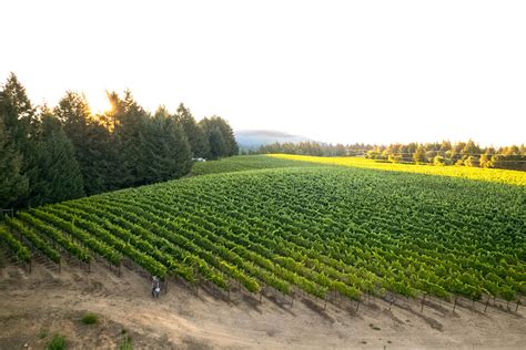 Fall Release: Club Allocation Details - Three Sticks