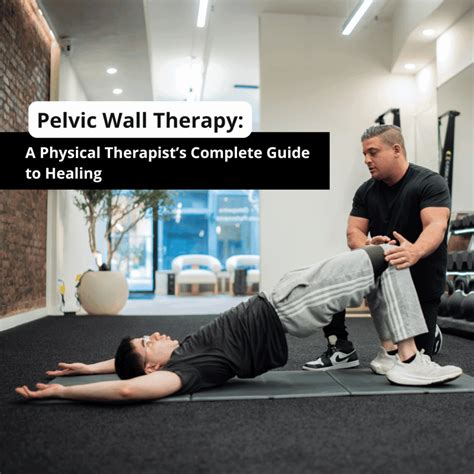 Male Pelvic Floor: The Hidden Foundation of Men’s Health - Pelvis.nyc