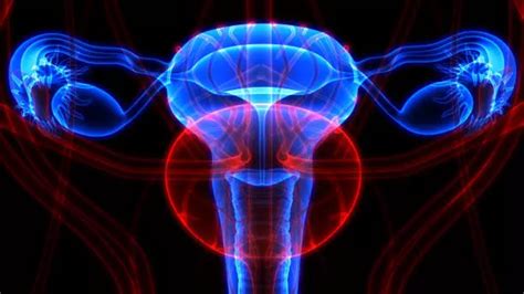 5 Early Signs Of Ovarian Cysts That May Cause Cancer If Ignored ...