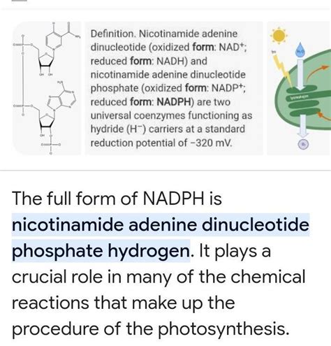 What is Full Form of NADPH - Brainly.in