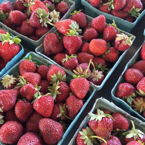 Locally Produced Food 的图像结果