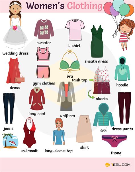 How Many Types Of Clothing Are There at Matthew Greig blog