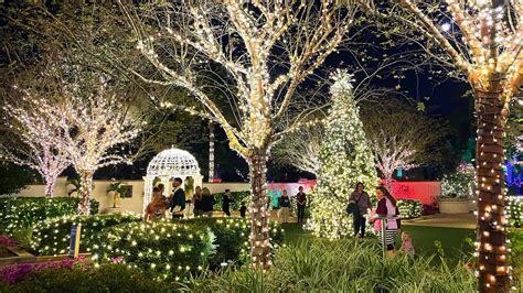 Florida Horse Park Christmas Lights – OVMN