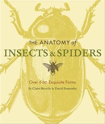 Buy The Anatomy of Insects & Spiders: Over 600 Exquisite Forms Book ...