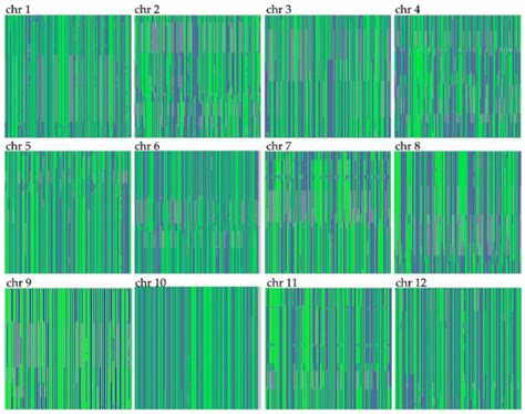 An SNP-Based High-Density Genetic Linkage Map for Tetraploid Potato ...