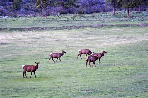 North Star Ranch Colorado | Mancos | Fay Ranches