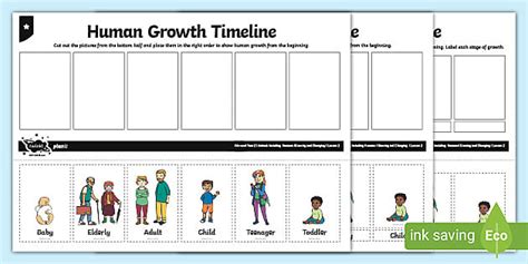 Human Growth Timeline Worksheet (teacher made) - Twinkl