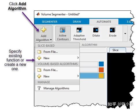 Image result for Volume Segmenter MATLAB Tutorial