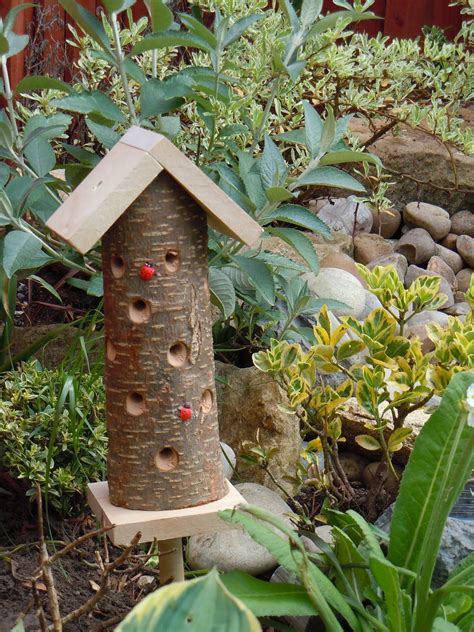 How to build a ladybug house invite them into your garden – Artofit