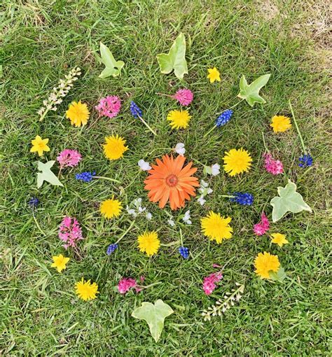 Nature Kids 的图像结果