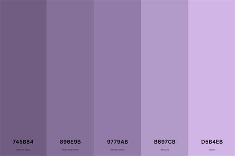 25 best mauve color palettes with names and hex codes – Artofit