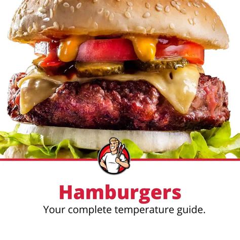 Hamburger Temperature Guide – Best Guide to Smoked Hamburgers – WPFQTM