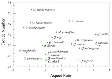 Leaf Shape and Self-Mulching by Trees: A Hypothesis