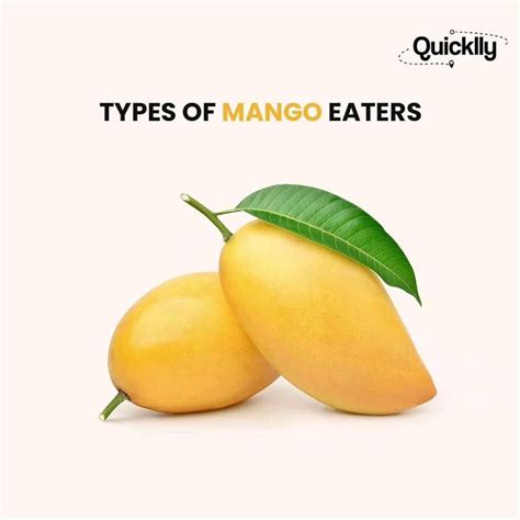 Image result for Mango Production Script Script