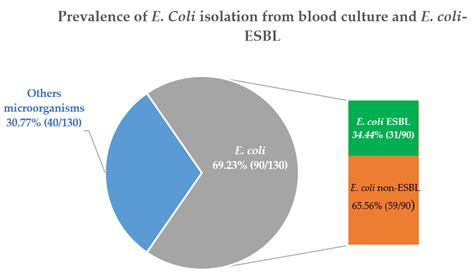 Prevalence of Escherichia coli Producing Extended Spectrum Beta ...