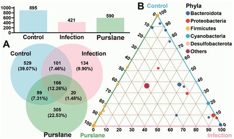 Effect of Purslane (Portulaca oleracea L.) on Intestinal Morphology ...