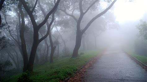 Foggy wallpaper | 1920x1080 | #68550