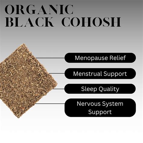 What is Black Cohosh Tea? - History, Benefits, and More – Full Leaf Tea ...