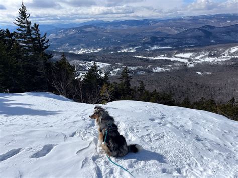 15 Amazing North Conway Winter Activities - Chasing ADVNTR