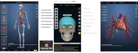 Computer Simulation Anatomy 的图像结果