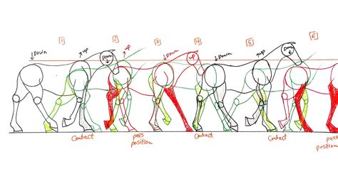 Walking Animation 的图像结果